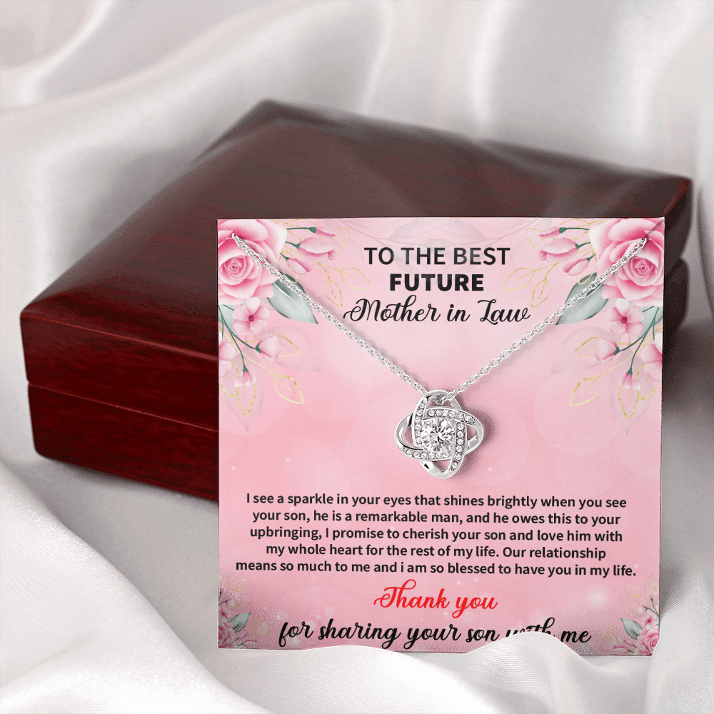 Future Mother In Law - I See A Sparkle In Your Eyes Love Knot Necklace Message Card
