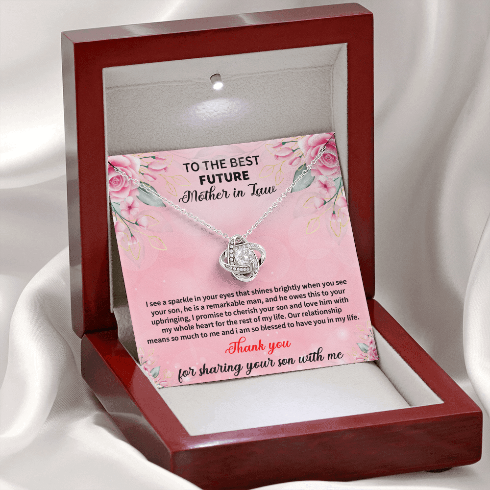 Future Mother In Law - I See A Sparkle In Your Eyes Love Knot Necklace Message Card