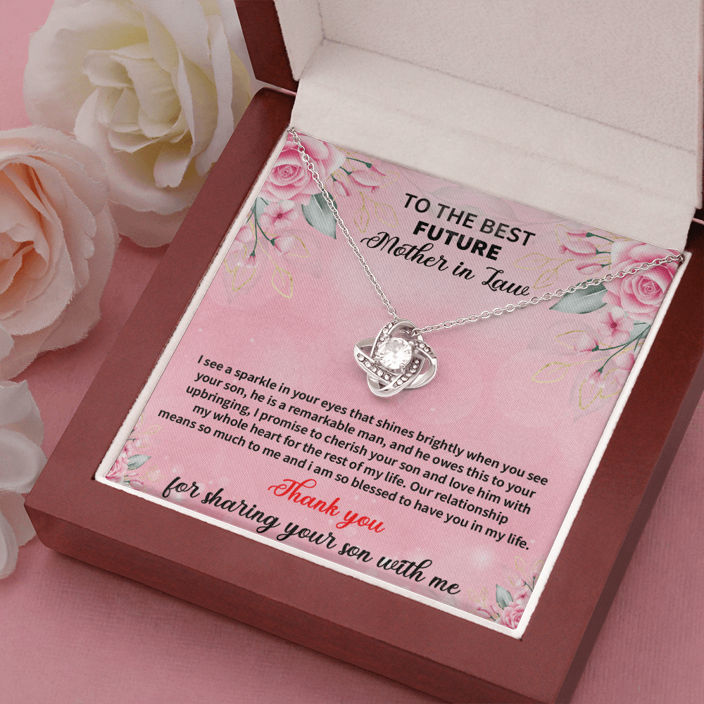 Future Mother In Law - I See A Sparkle In Your Eyes Love Knot Necklace Message Card